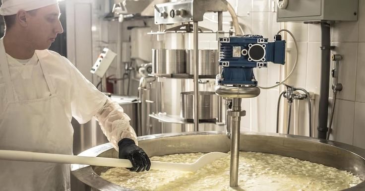 Stainless steel vat in a dairy processing hall